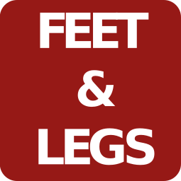Feet and legs