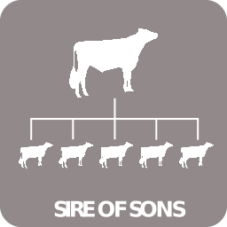 Sire of sons